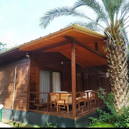 Olympos Yavuz Hotel ชิลารึ ภายนอก รูปภาพ