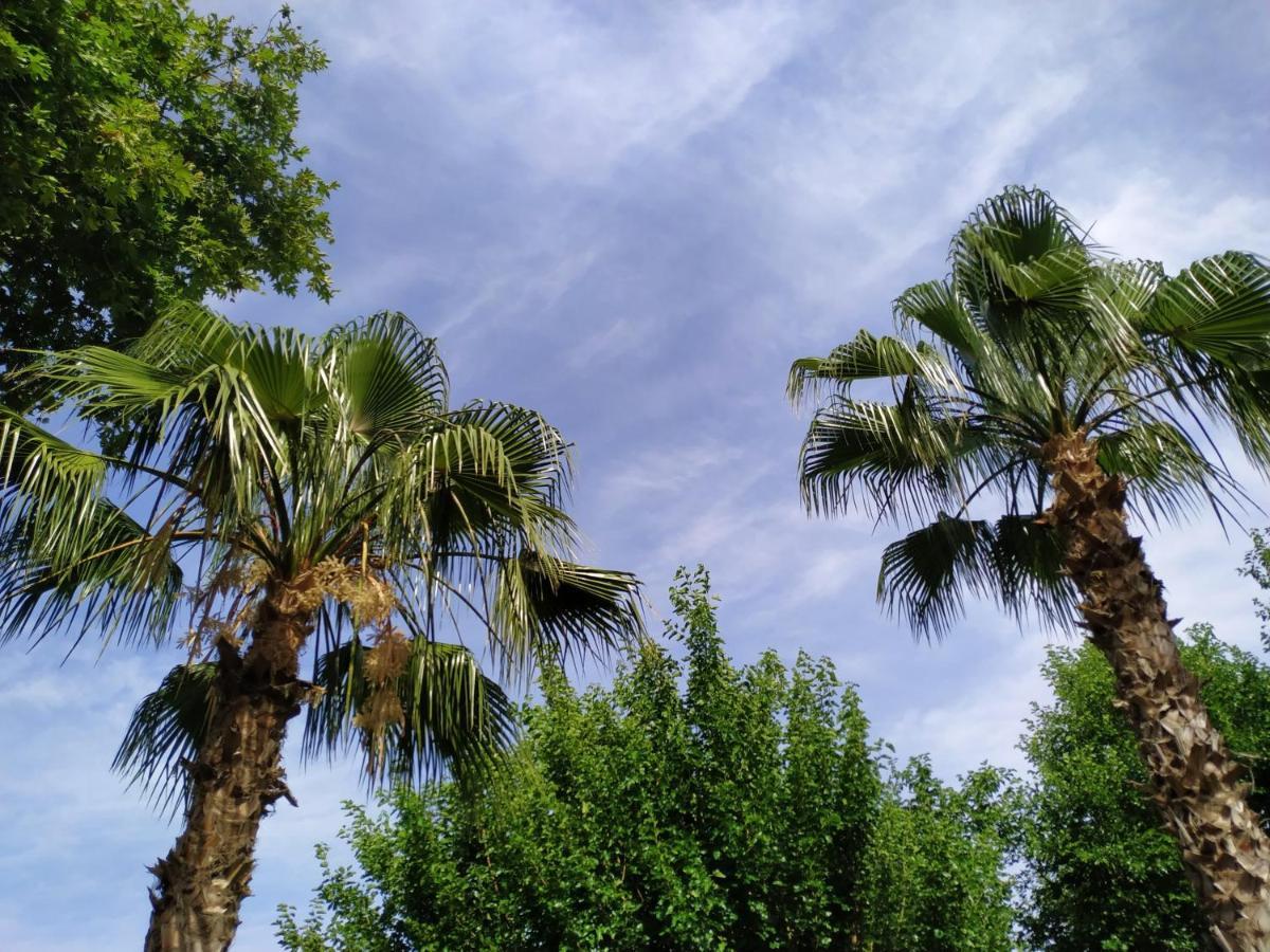 Olympos Yavuz Hotel ชิลารึ ภายนอก รูปภาพ