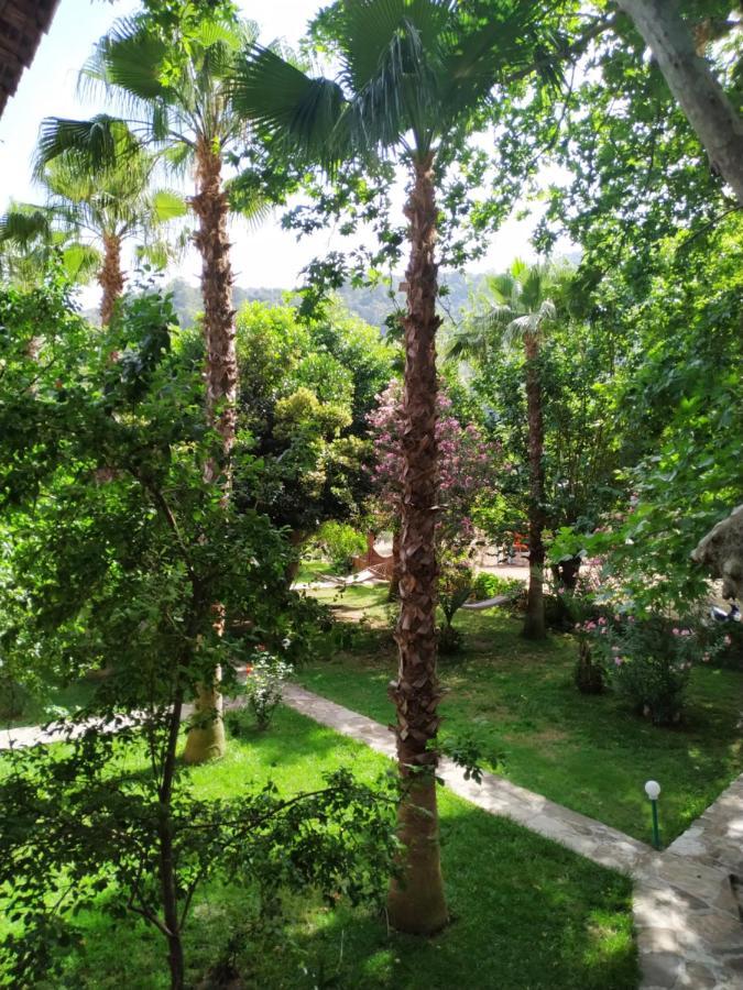 Olympos Yavuz Hotel ชิลารึ ภายนอก รูปภาพ