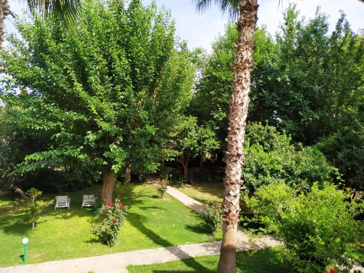 Olympos Yavuz Hotel ชิลารึ ภายนอก รูปภาพ