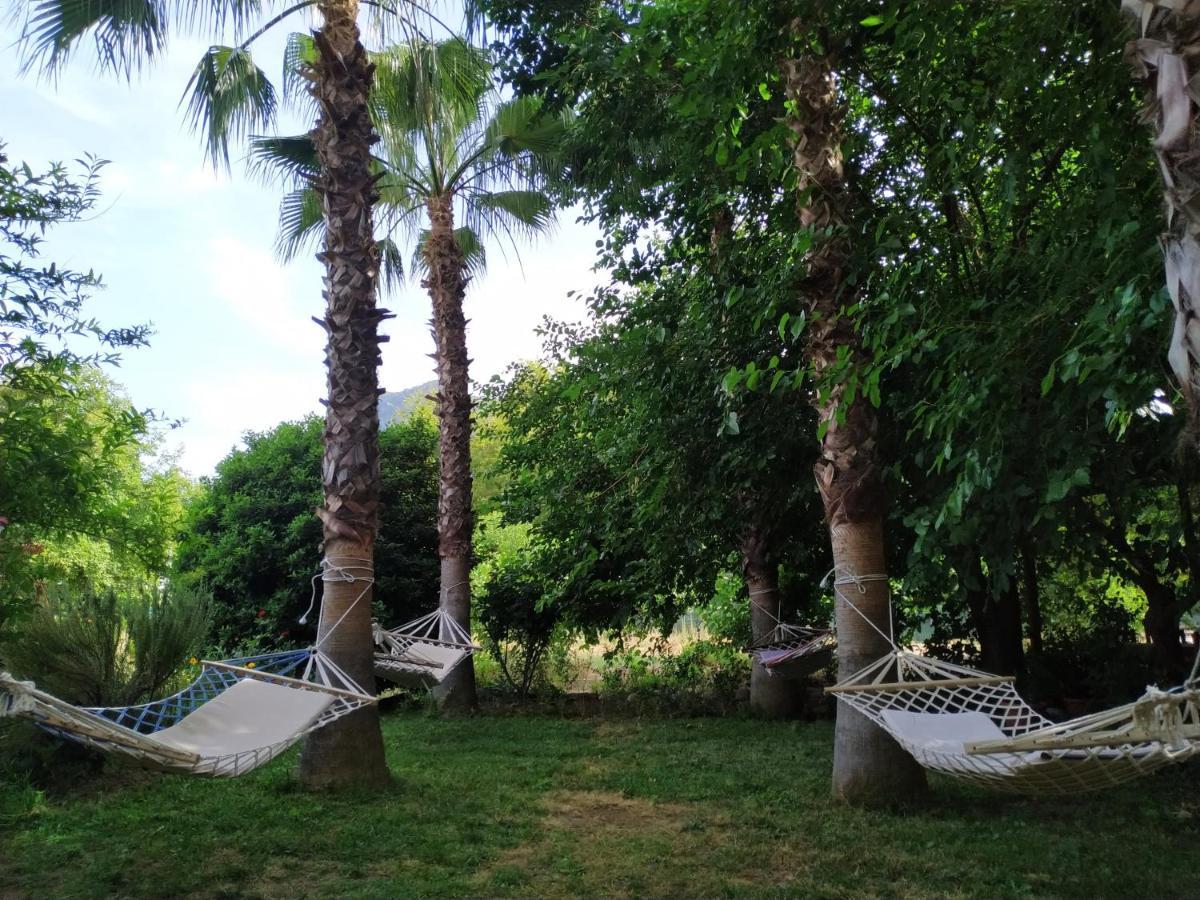 Olympos Yavuz Hotel ชิลารึ ภายนอก รูปภาพ