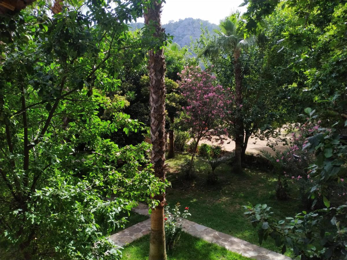 Olympos Yavuz Hotel ชิลารึ ภายนอก รูปภาพ