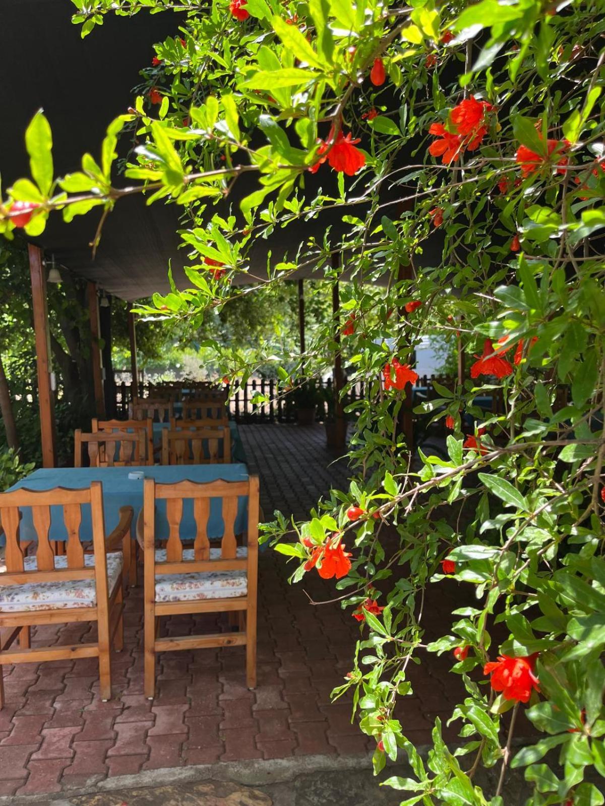 Olympos Yavuz Hotel ชิลารึ ภายนอก รูปภาพ